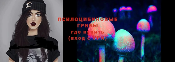винт Гусь-Хрустальный