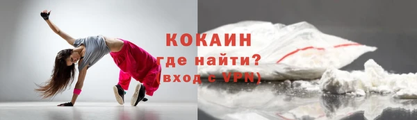 винт Гусь-Хрустальный